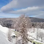 Chojnik 3* Podgórzyn