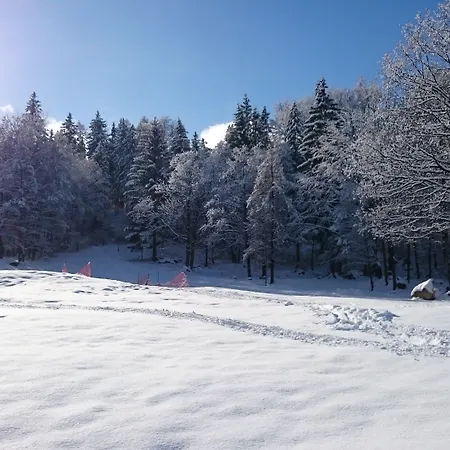 Chojnik Podgórzyn